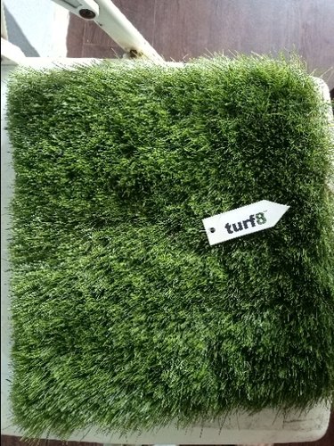 Artificial Grass